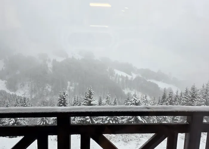 Sunny Hill Kop - Luxury Mountain View Apartament Kopaonik